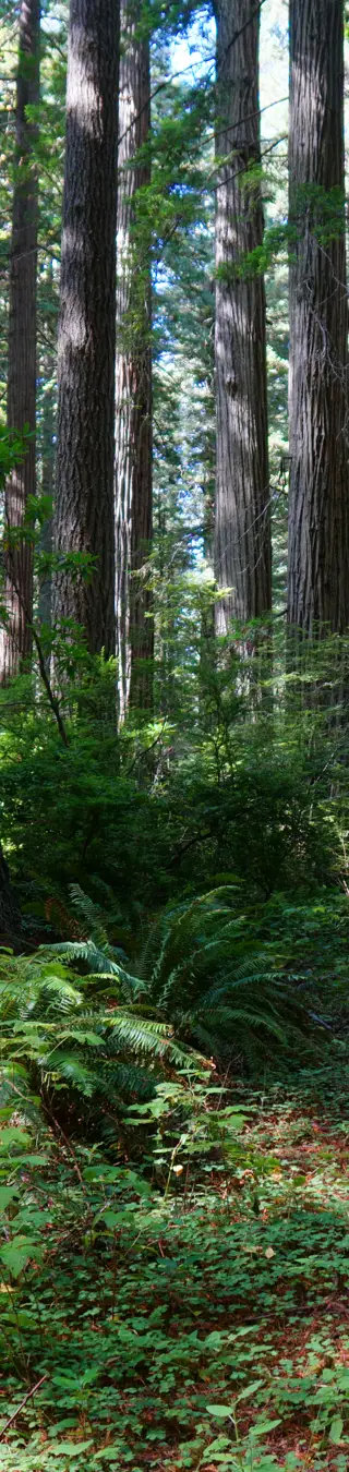 Wandere durch den weitläufigen Nationalpark